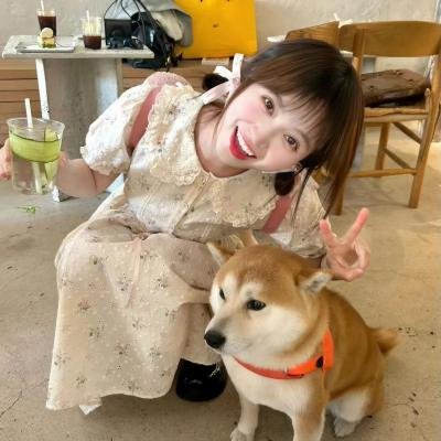 领导的法则 封面